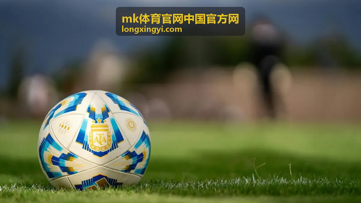 mk体育官网中国官方网账号与安全服务操作指引页面示意