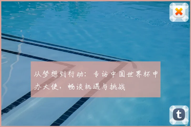 从梦想到行动:专访中国世界杯申办大使,畅谈机遇与挑战