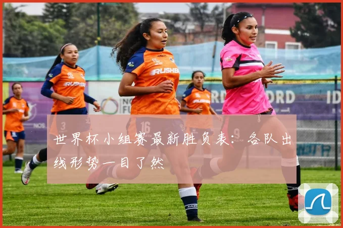 世界杯小组赛最新胜负表:各队出线形势一目了然