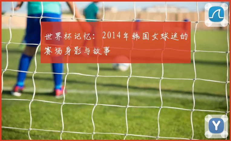 世界杯记忆:2014年韩国女球迷的赛场身影与故事