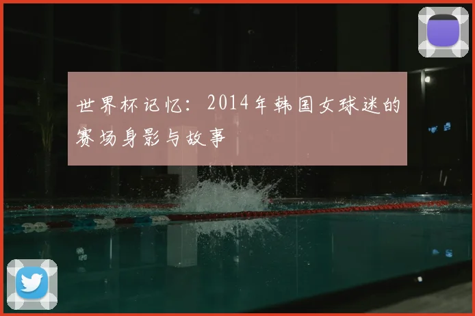 世界杯记忆:2014年韩国女球迷的赛场身影与故事