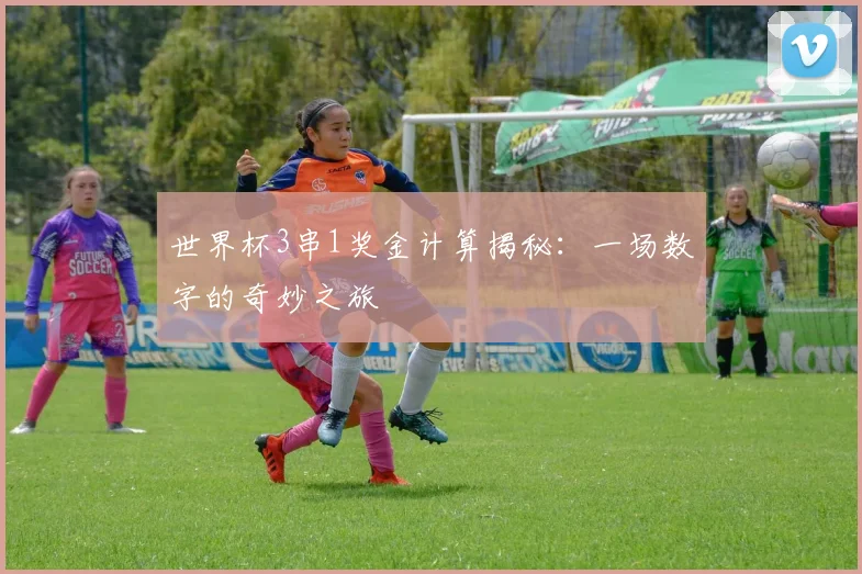 世界杯3串1奖金计算揭秘:一场数字的奇妙之旅