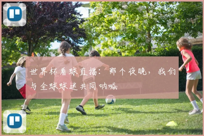 世界杯看球直播:那个夜晚,我们与全球球迷共同呐喊