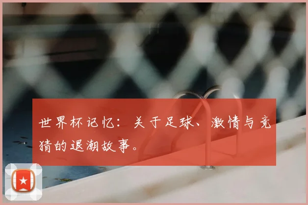 世界杯记忆:关于足球、激情与竞猜的退潮故事。