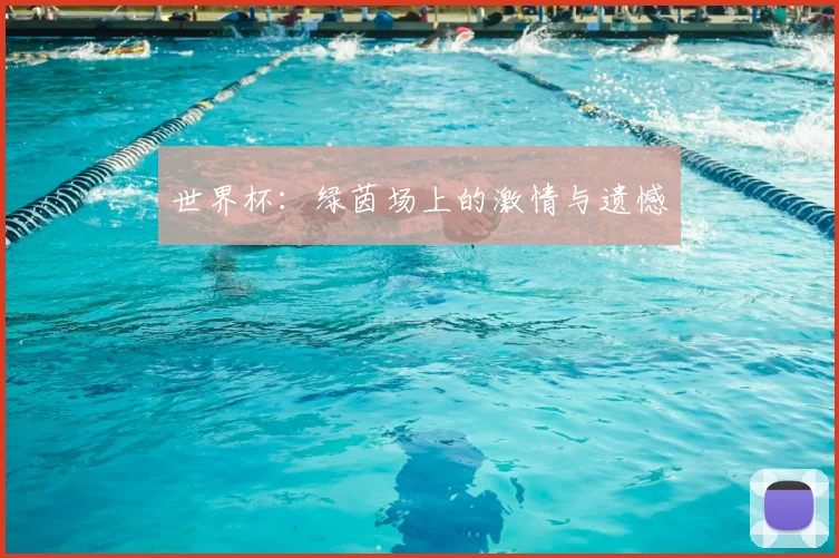 世界杯:绿茵场上的激情与遗憾