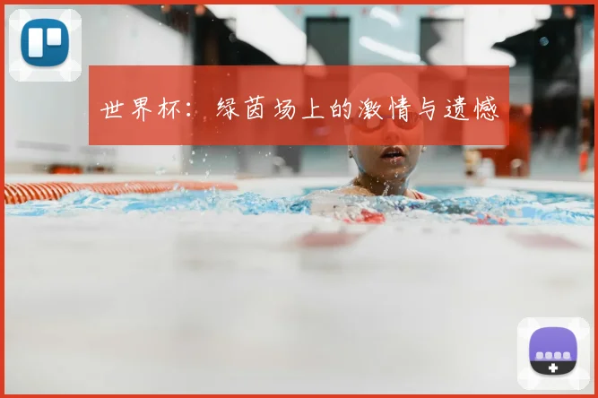 世界杯:绿茵场上的激情与遗憾