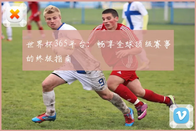 世界杯365平台：畅享全球顶级赛事的终极指南